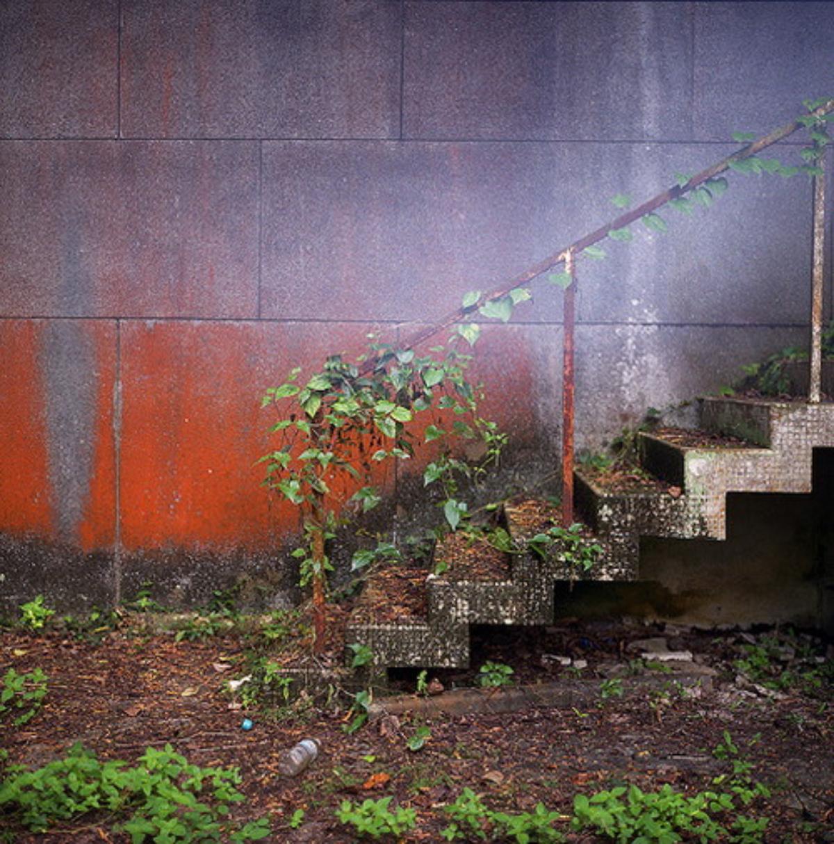 Urban Decay Photography
